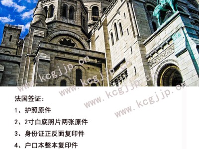 加拿大签证、美国签证、阿根廷签证、巴西签证图2