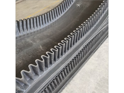 大倾角挡边提升带 尼龙挡边输送带 超宽环形挡边带图2