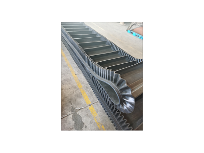 大倾角挡边提升带 尼龙挡边输送带 超宽环形挡边带图3