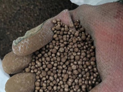 3-6mm铁丸 钢丸 配重钢丸厂家山东晟博安图2