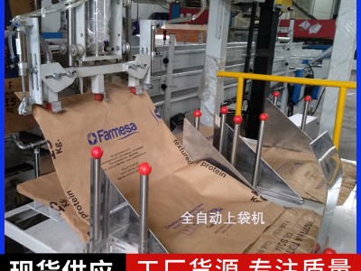 聚酯树脂全自动包装机图2