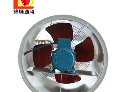 SF(G)型低噪音轴流风机铝叶轮铝壳电机防爆风机图2