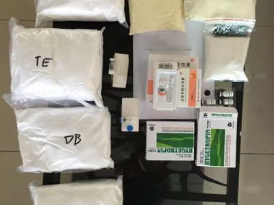 化工原料白色粉未双清加拿大,保健品颗粒双清西班牙图4