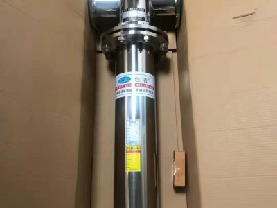 不锈钢氧气过滤器 不锈钢氮气过滤器 沼气不锈钢过滤器图2