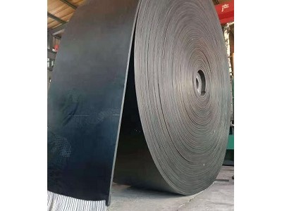 耐腐蚀钢丝绳输送带 颗粒提升带 真空过滤机皮带图2