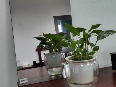 单向透视玻璃(单反玻璃,辨认室玻璃,录播室玻璃)图3