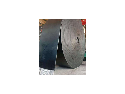 炜泰抗老化钢丝绳输送带 颗粒提升带 真空过滤机皮带供应图2