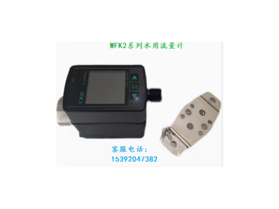 代理WFK2-050BAAAN-A，CKD流量计