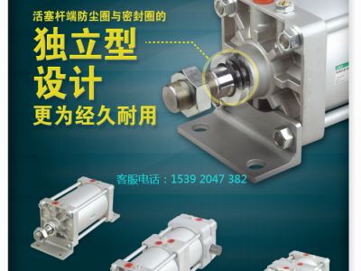 SCS2-N-CA-250B-200-Y，CKD大口径气缸