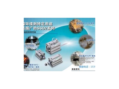 供应SSD-QL-100-200-R-N，CKD气缸
