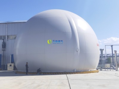 大白球双膜储气柜WD68S图2