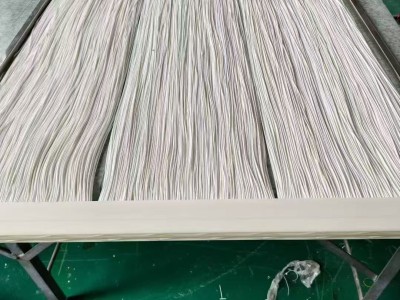 金泽能中空纤维MBR帘式膜组件 平板膜 三菱膜图3