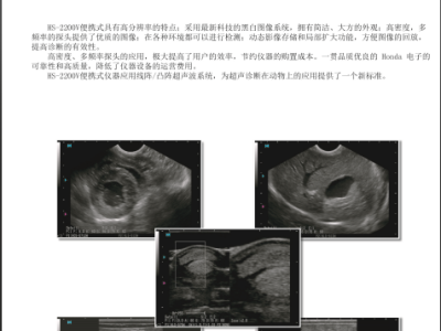 日本进口兽用B超 HS-2200V图2